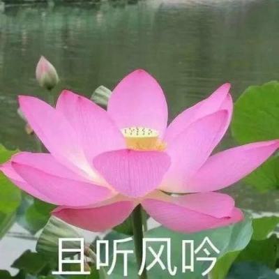 水利部长江委洪水防御应急响应提升至Ⅲ级全力应对长江2024年第1号洪水